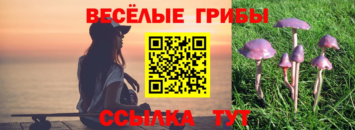 Миллерово  Галлюциногенные грибы Magic Shrooms  Вход с VPN 